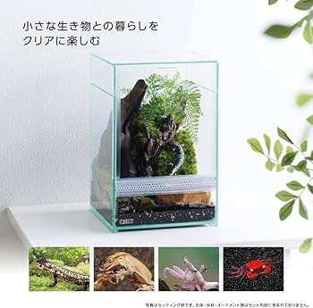 ★美品2個セット　爬虫類ケージGEXレプテリア　クリアネオフィット　１８０ Amazon | レプテリア クリアネオフィット 180 小型爬虫類 両生類